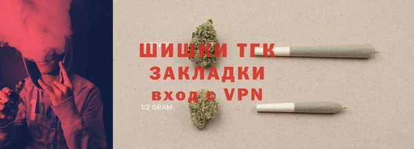 PSILOCYBIN Верея