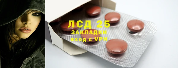 PSILOCYBIN Верея