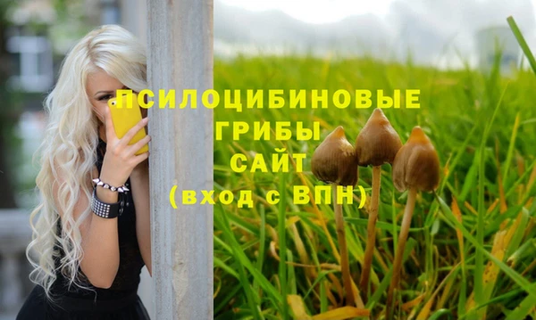 PSILOCYBIN Верея