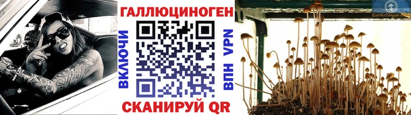 Купить где  Холмск  Галлюциногенные грибы Magic Shrooms 